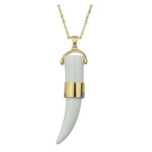 Tiger Tooth Necklace
